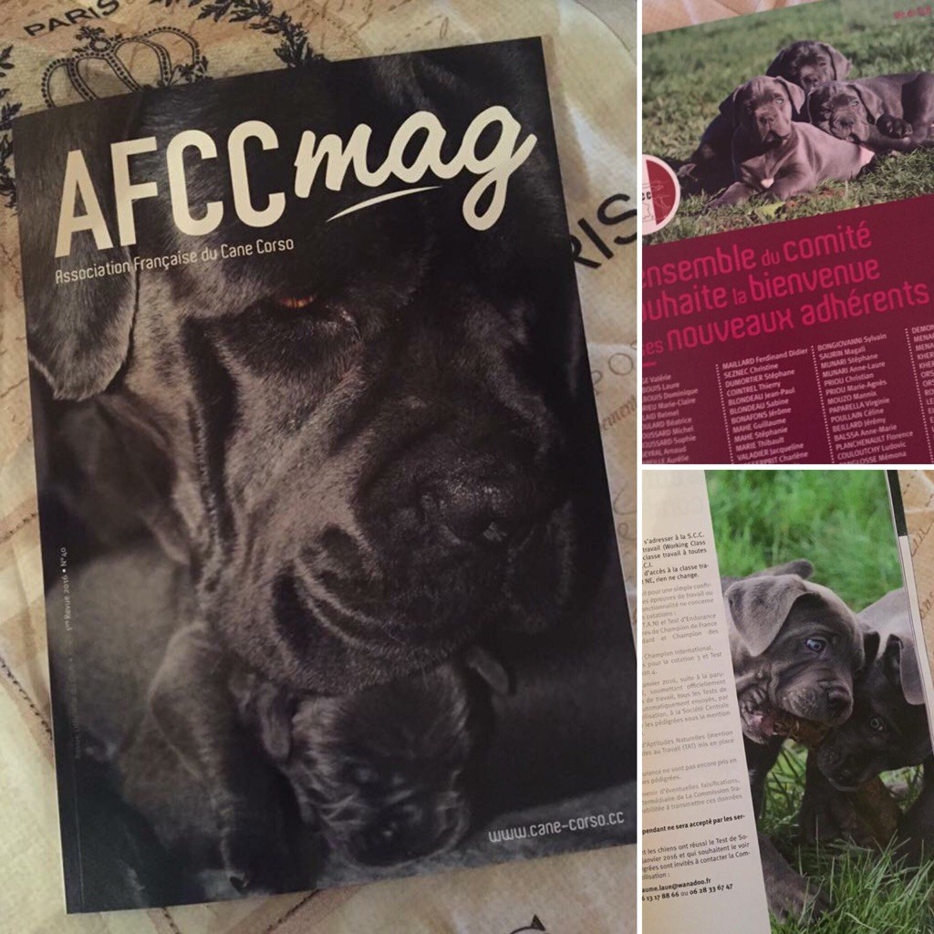 Ailentari en couverture et illustration dans la revue AFCC